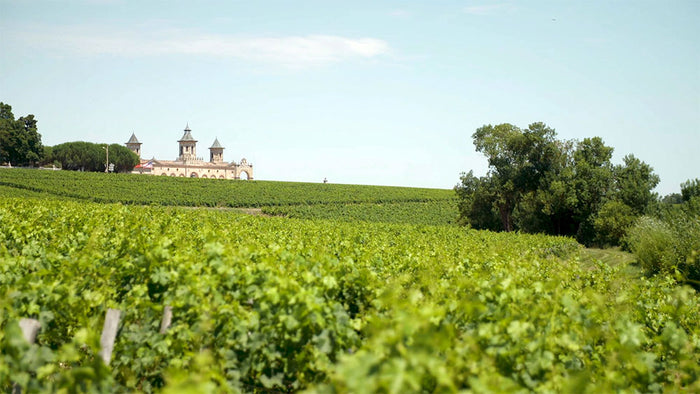 Chateau Clos d'Estournel