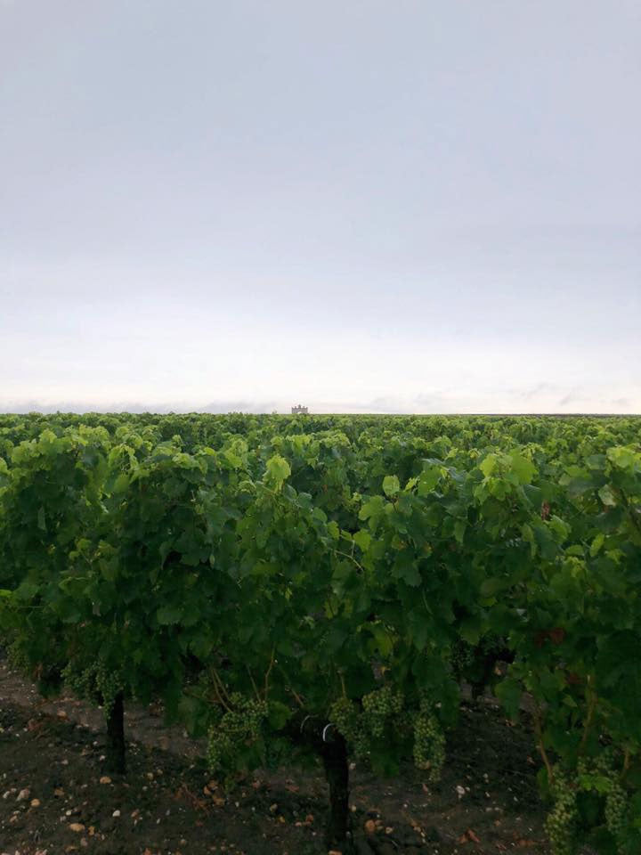 Chateau d'Issan