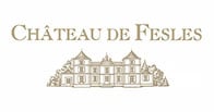 Chateau de Fesles