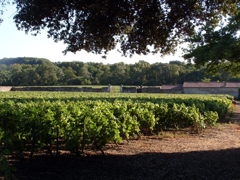 Chateau de la Gravelle