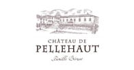 Chateau de Pellehaut