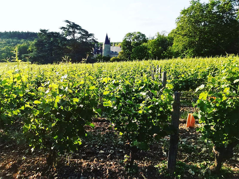 Chateau de Tracy
