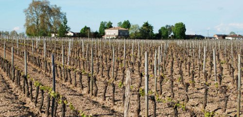Chateau des Annereaux