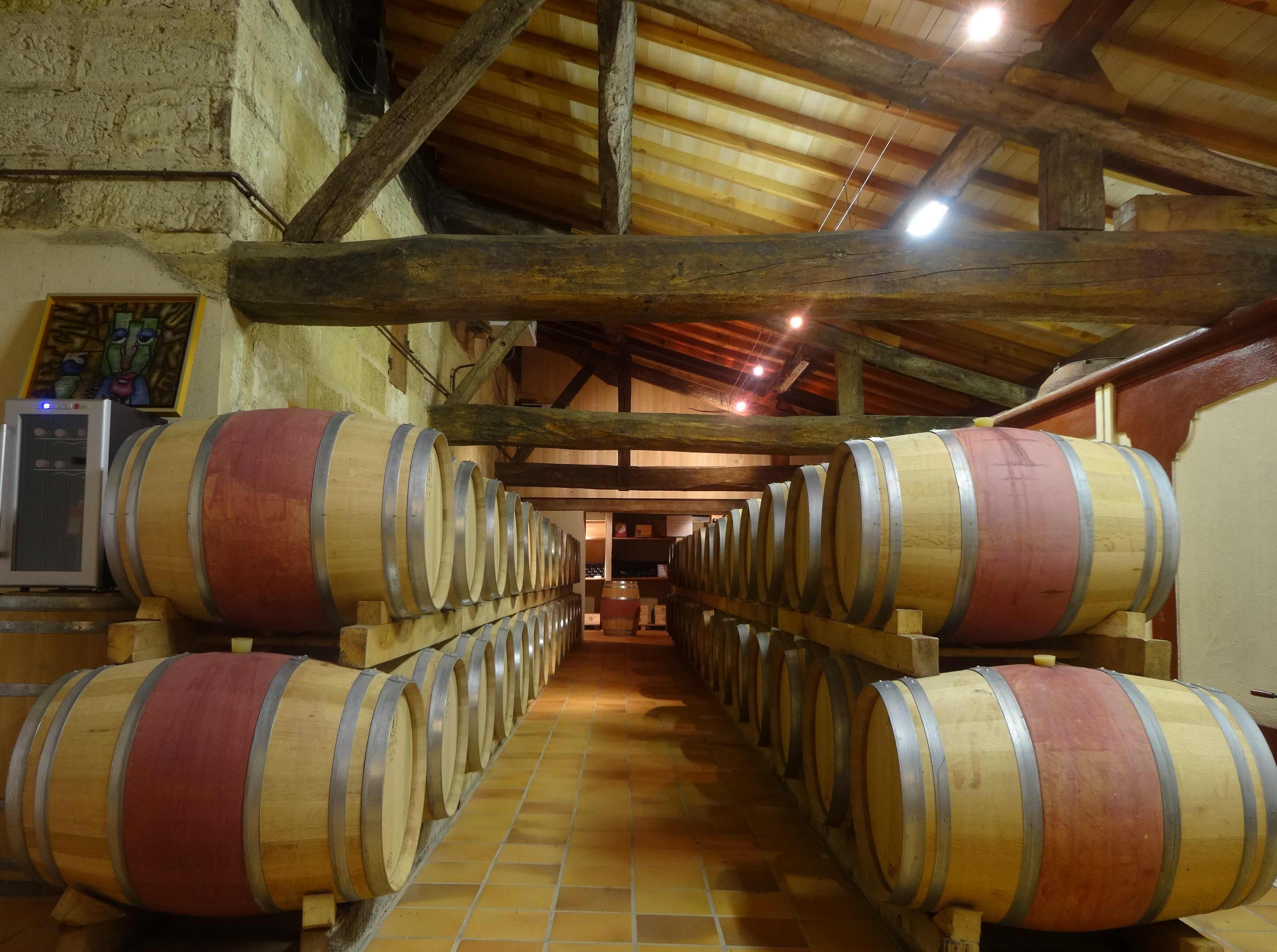 Chateau des Annereaux