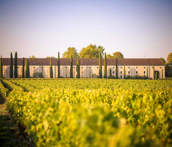 Chateau des Laurets (Rothschild)