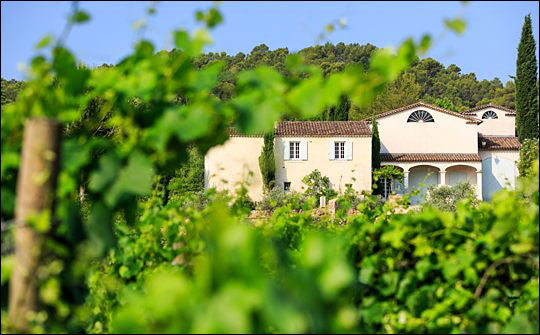 Chateau des Sarrins