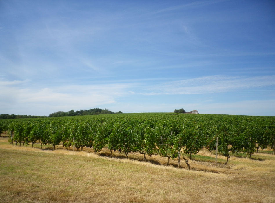 Chateau Dorleac