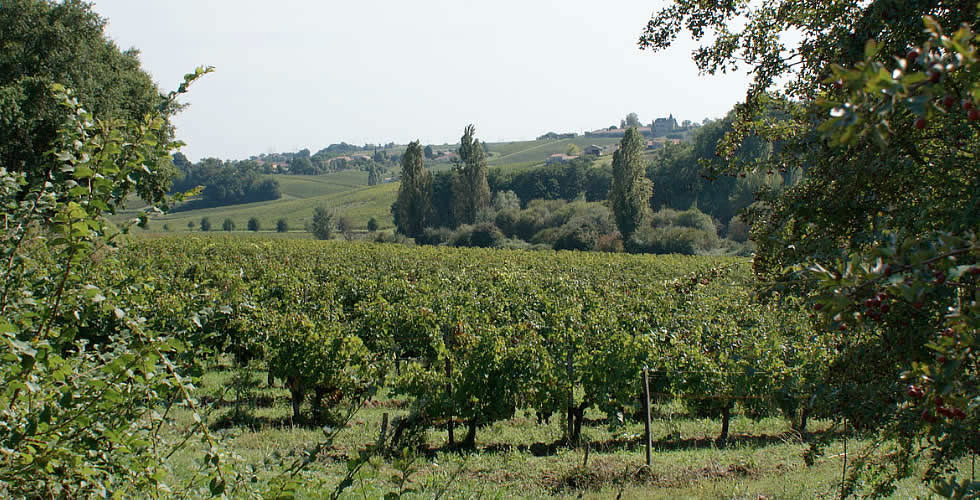 Chateau du Grand Plantier
