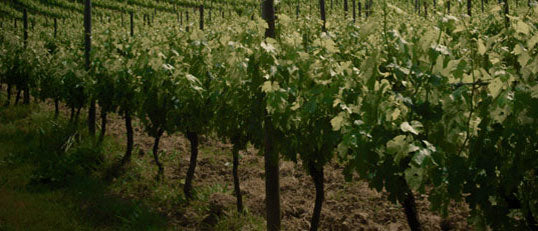 Chateau Ferran