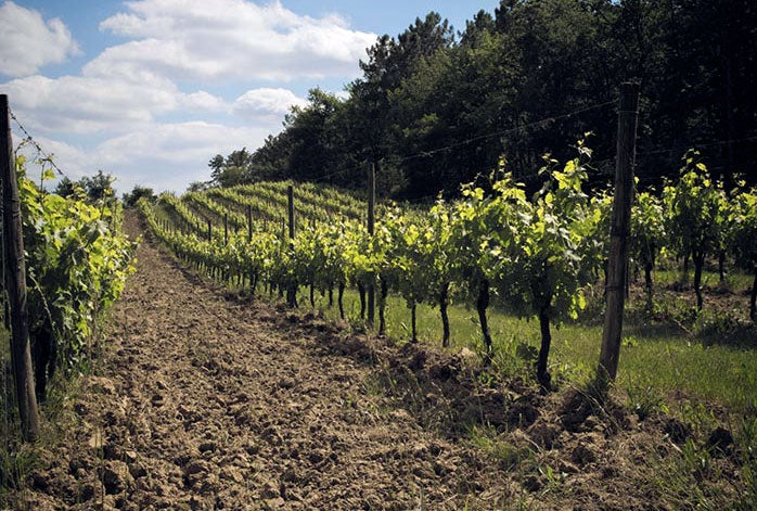 Chateau Ferran