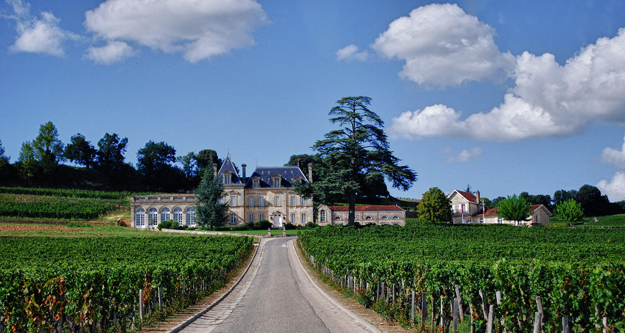 Chateau Fonplegade