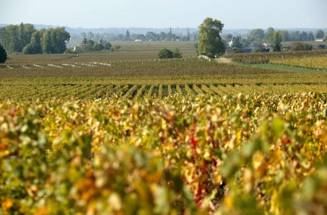 Chateau Fonroque