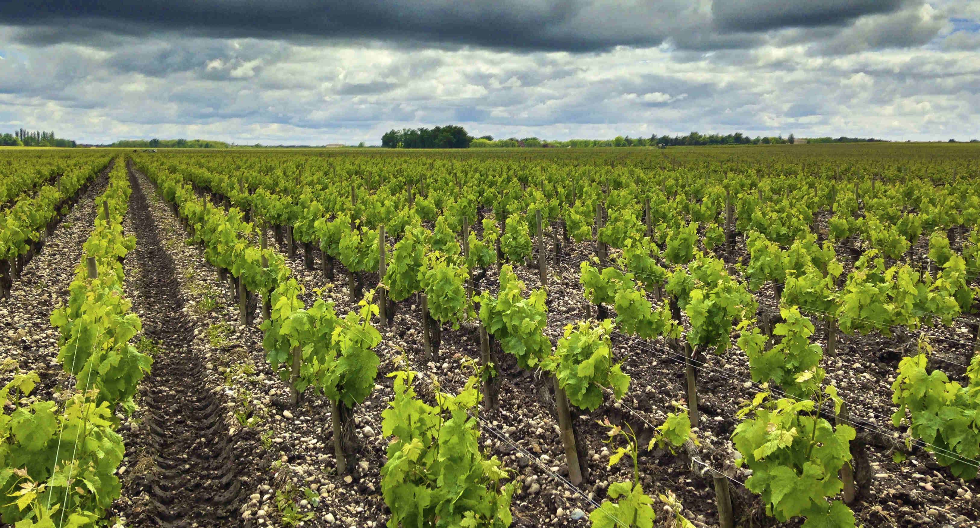 Chateau Gaudin