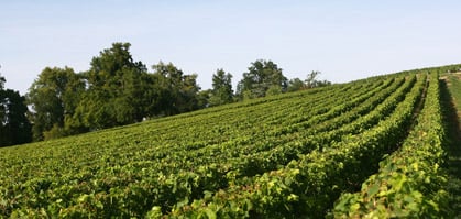 Chateau Gloria