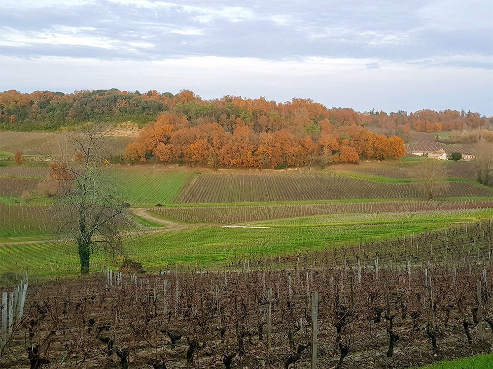 Chateau Godeau