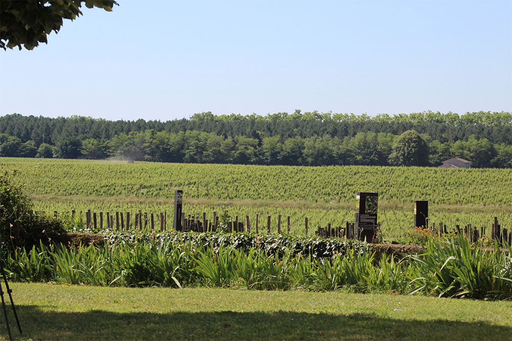 Chateau Guiraud