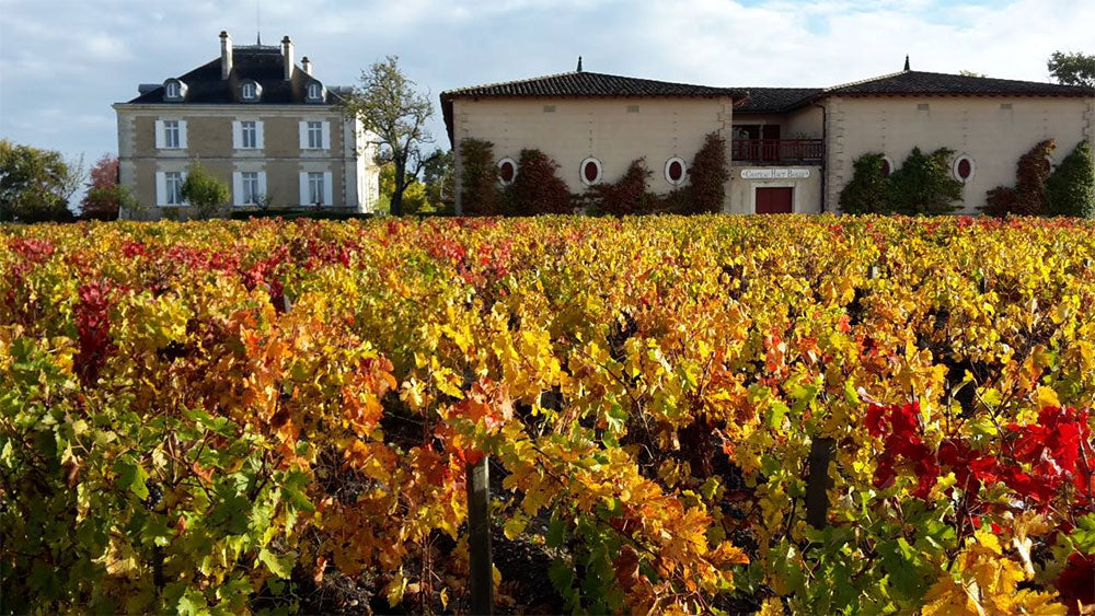 Chateau Haut-Bailly