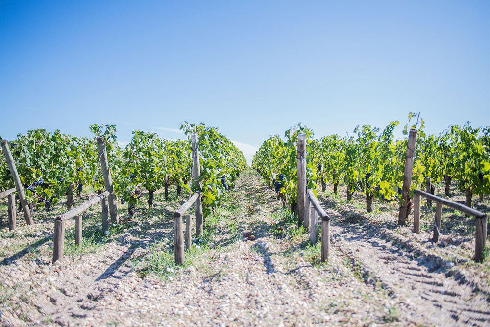 Chateau Haut-Brion