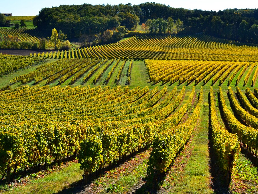 Chateau Haut Fonrousse