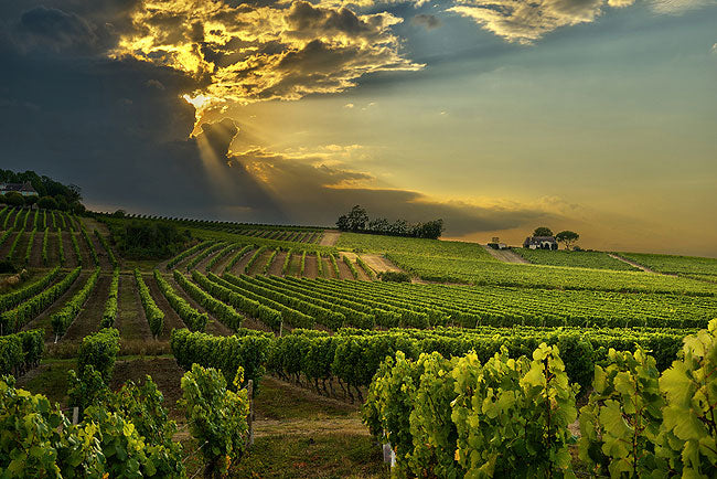 Chateau Haut Fonrousse
