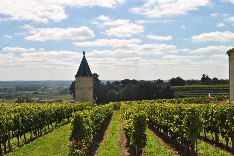 Chateau La Fleur