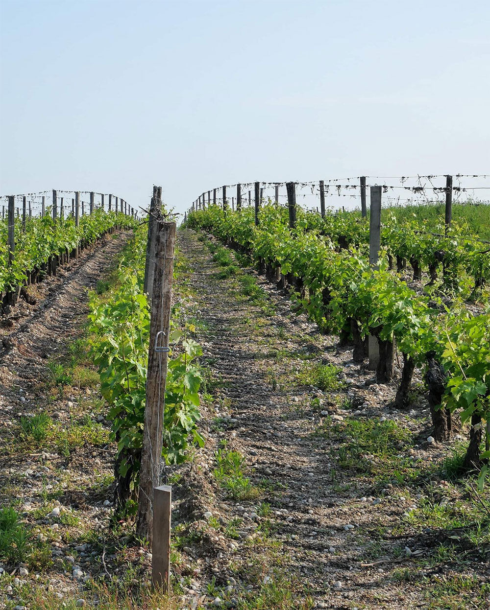 Chateau La Lagune