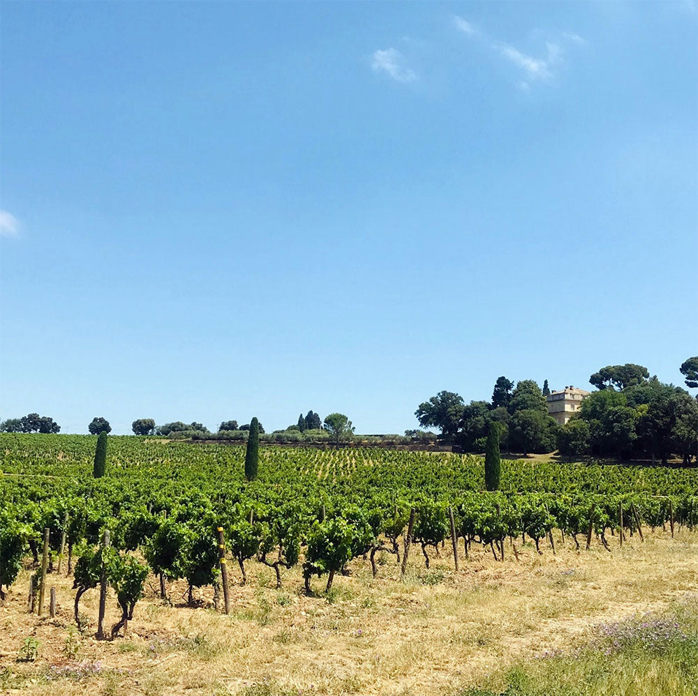 Chateau La Nerthe