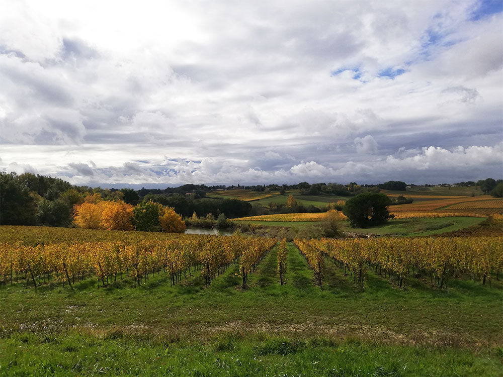 Château La Pierrière