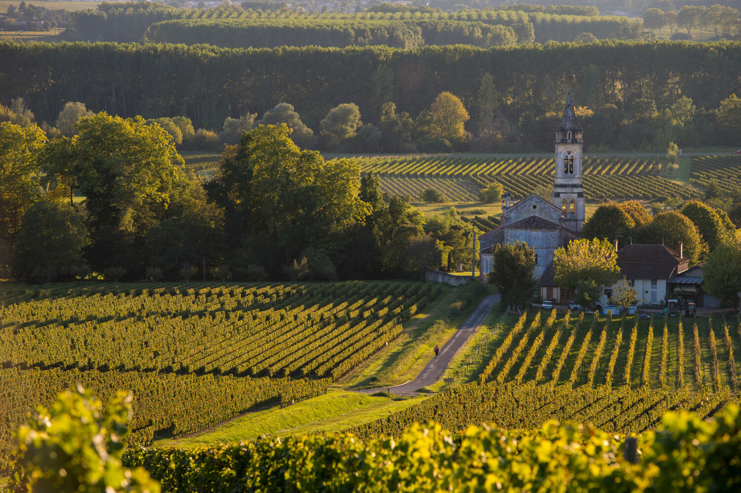 Chateau Lange-Réglat