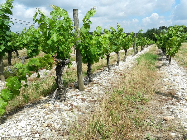 Chateau le Bruilleau