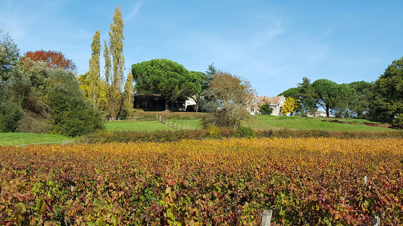 Chateau le Bruilleau