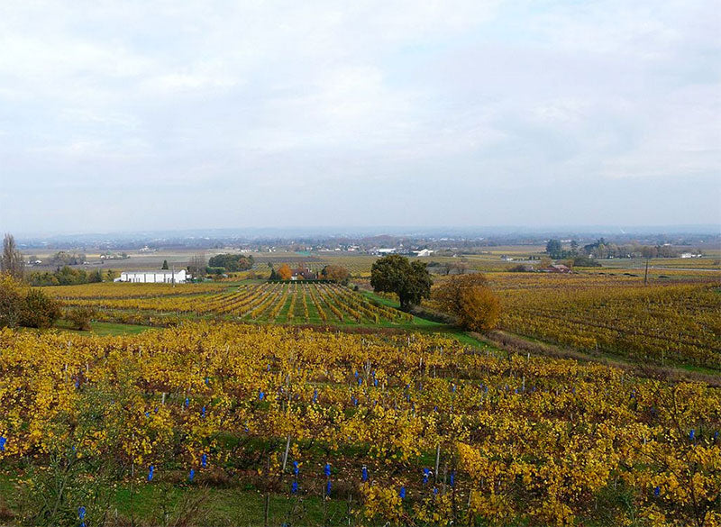 Chateau Le Thibaut