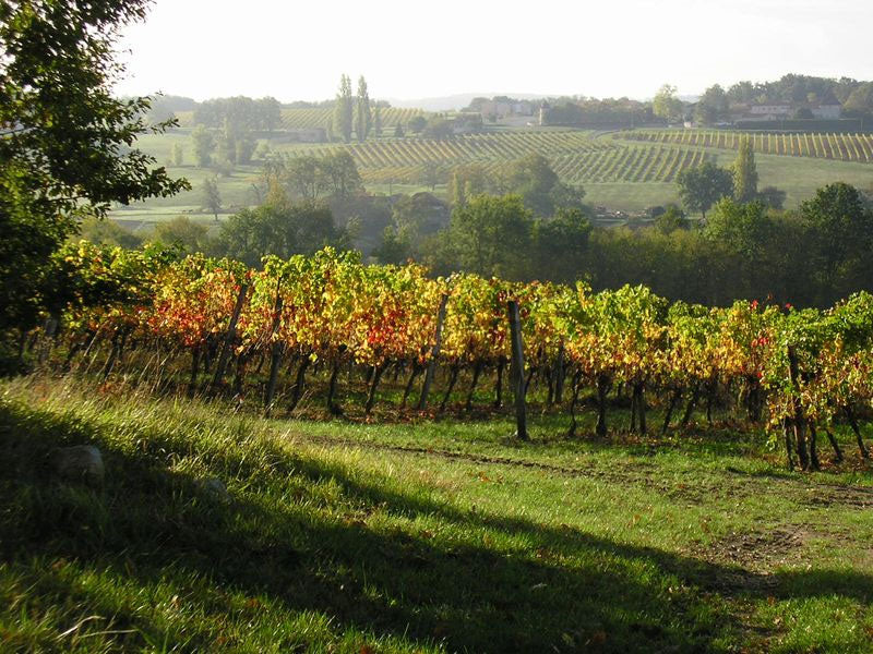 Chateau les Hauts de Caillevel