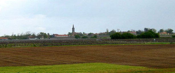 Chateau Les Ormes Sorbet