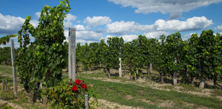 Chateau Loubens