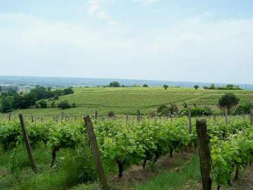 Chateau Loubens