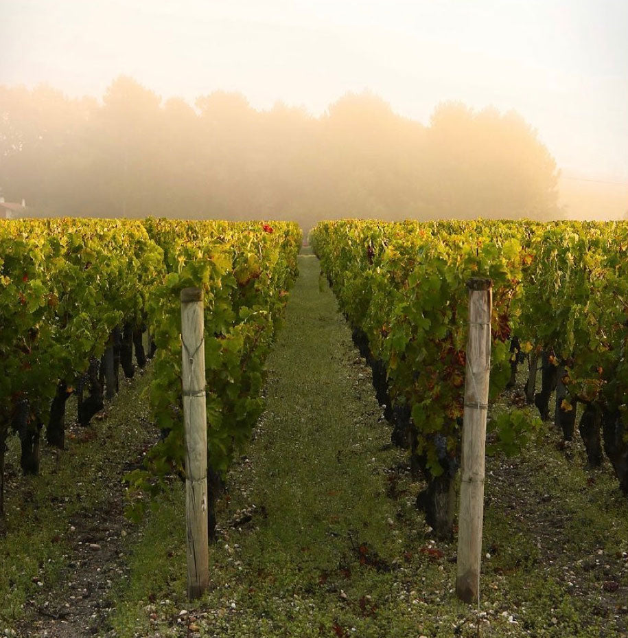 Chateau Malartic Lagraviere