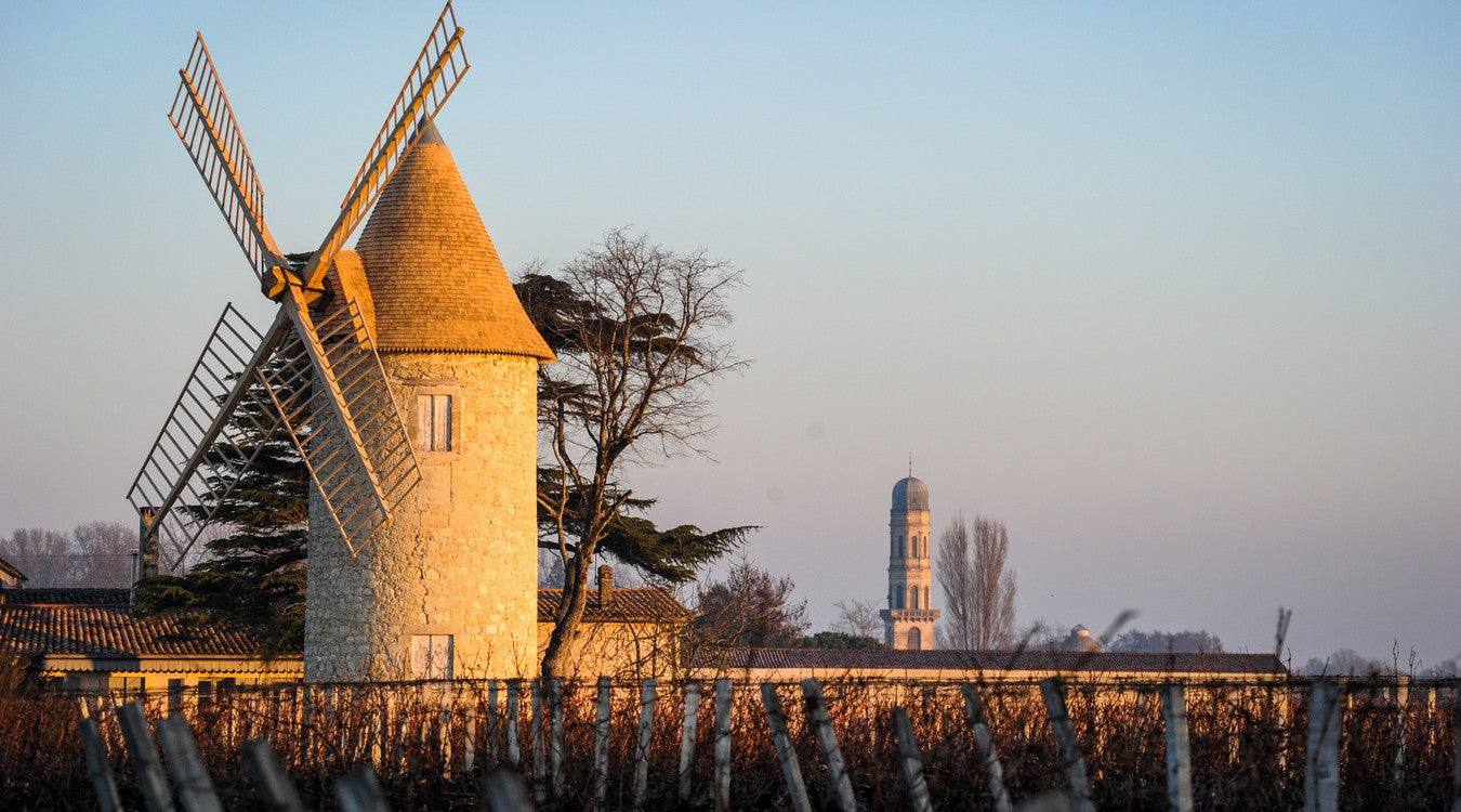 Chateau Malescasse