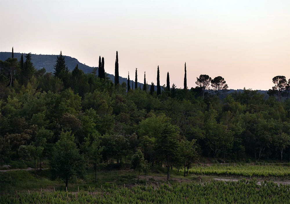 Chateau Margui