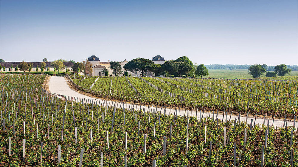 Chateau Marquis de Mons