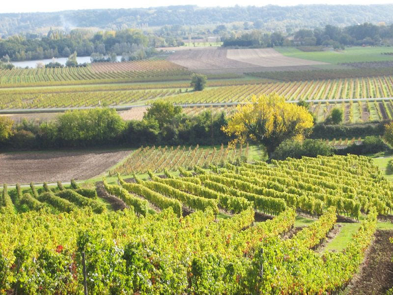 Chateau Moulin Caresse
