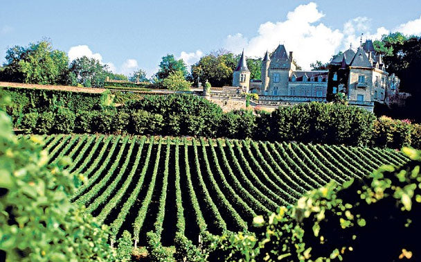 Chateau Moulin de la Riviere