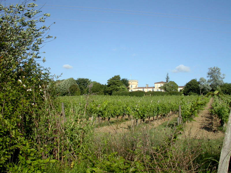 Chateau Peybonhomme - Les - Tours