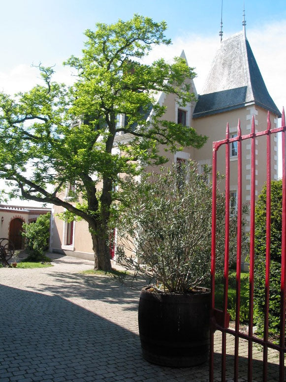 Chateau Pierre Bise