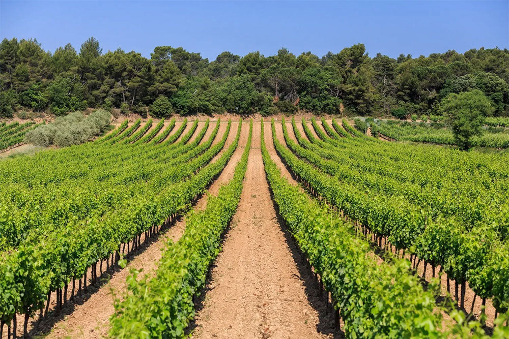 Chateau Pigoudet