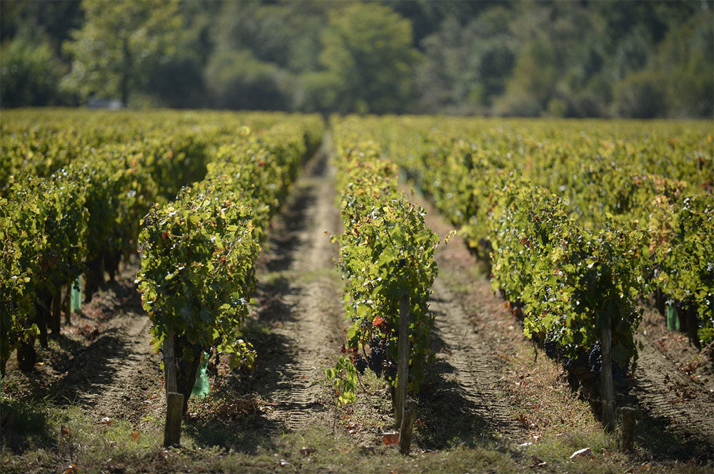 Chateau Preuillac