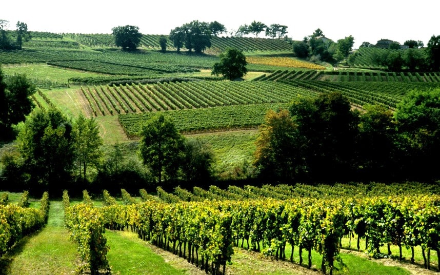 Chateau Puygueraud