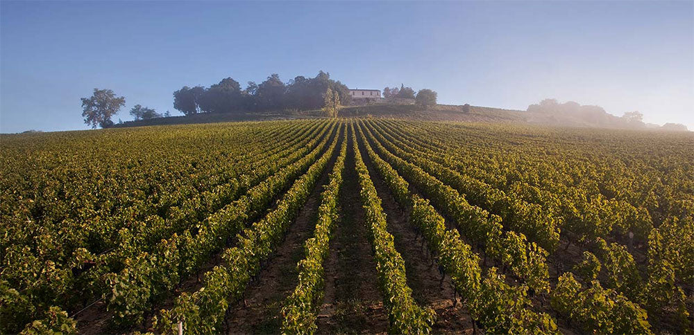 Chateau Quintus