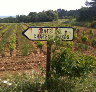 Chateau Rayas