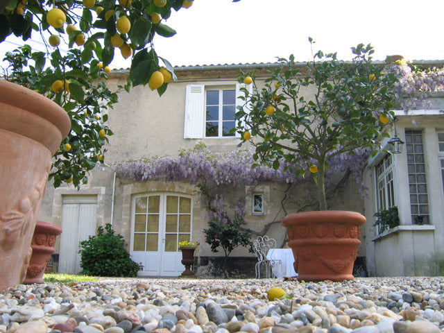 Chateau Romer du Hayot